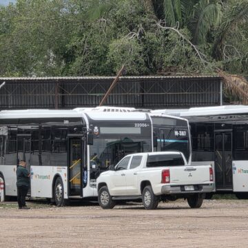 camiones Llegan a Puerto Vallarta los primeros autobuses eléctricos articulados