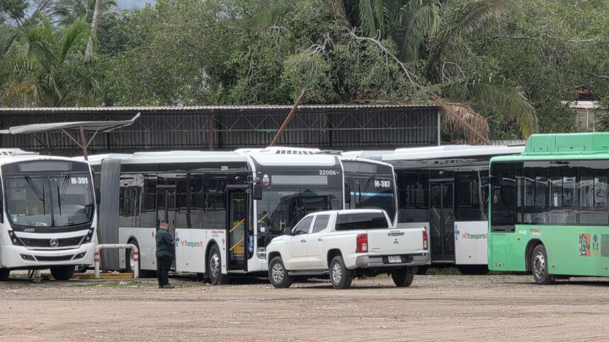 camiones Llegan a Puerto Vallarta los primeros autobuses eléctricos articulados