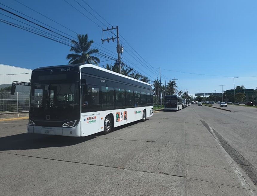Llegan seis nuevos camiones del sistema de transporte eléctrico