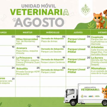 Superan las 2 Mil esterilizaciones por parte de Bienestar Animal