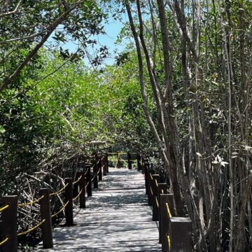 Recorridos en lancha en el Estero El Salado volverían hasta 2027