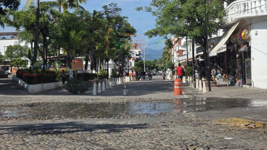 Solicitan reapertura vehicular en avenida México