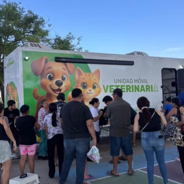 Continúan las esterilizaciones gratuitas en Puerto Vallarta