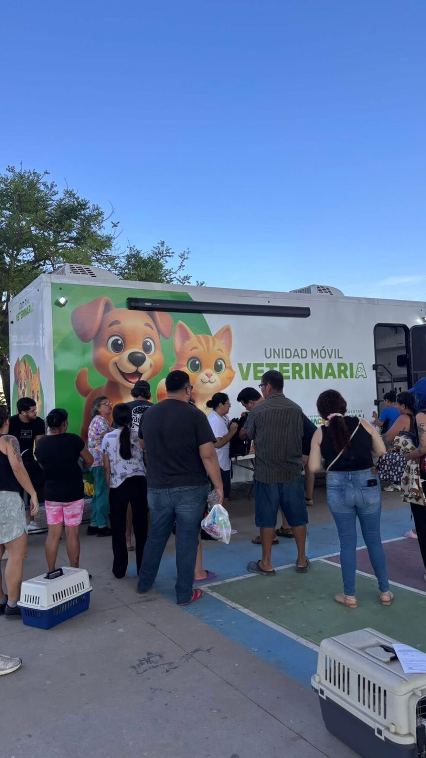 Continúan las esterilizaciones gratuitas en Puerto Vallarta