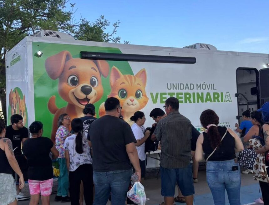 Continúan las esterilizaciones gratuitas en Puerto Vallarta
