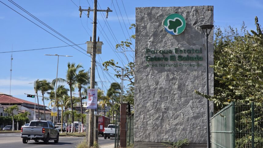 Proponen convertir el Estero El Salado en refugio para cocodrilos en Puerto Vallarta